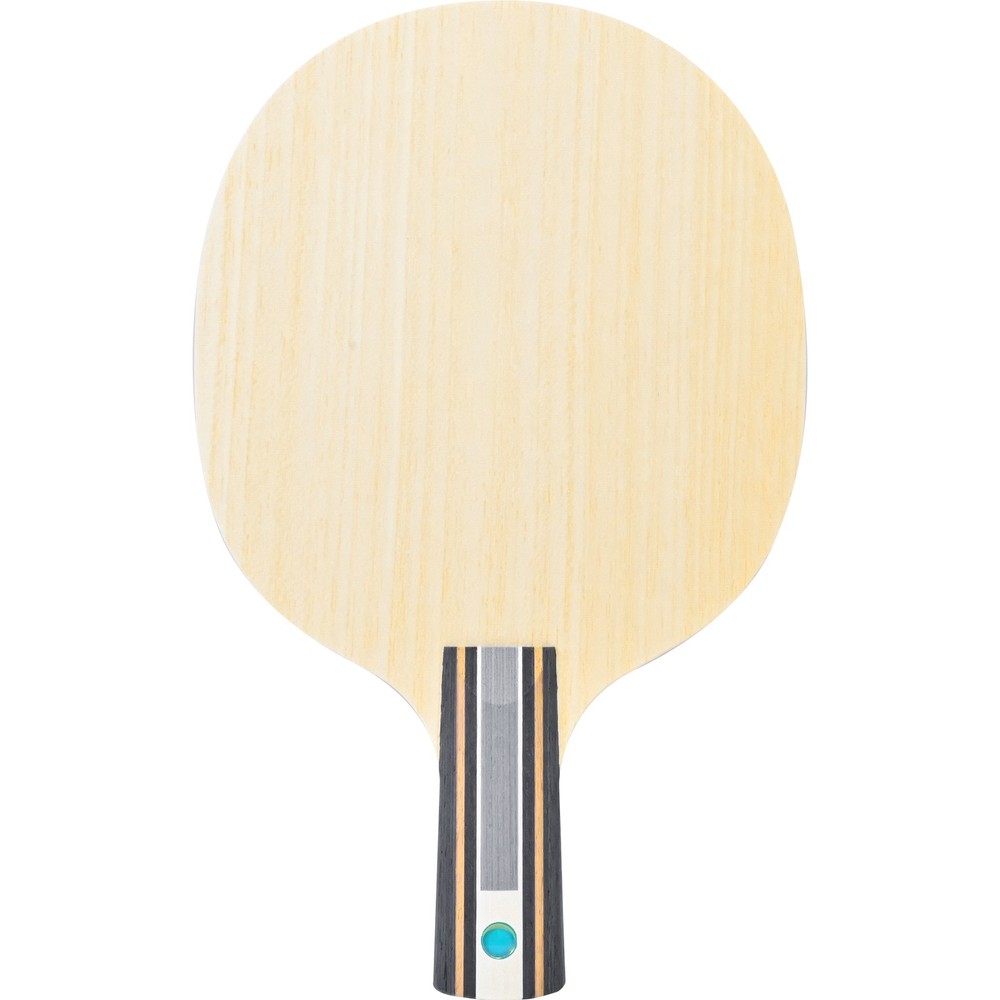 Fan Zhendong CNF CS
