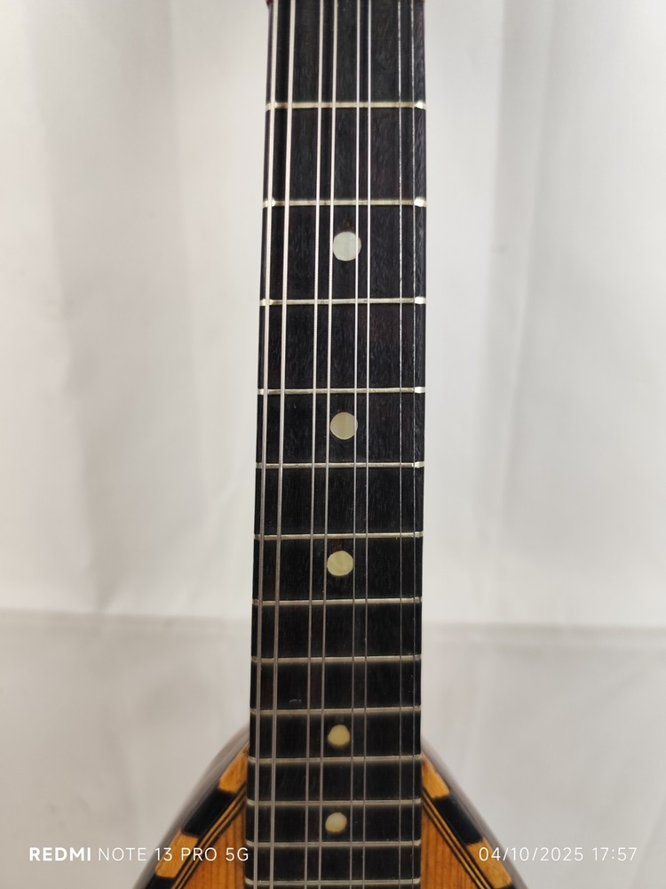 Luigi Gorradotti 1920 Rome 4/4 Mandolin 曼陀林 만돌린マンドリン