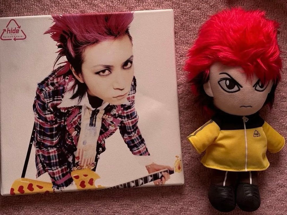 hide photo & stuffed animal