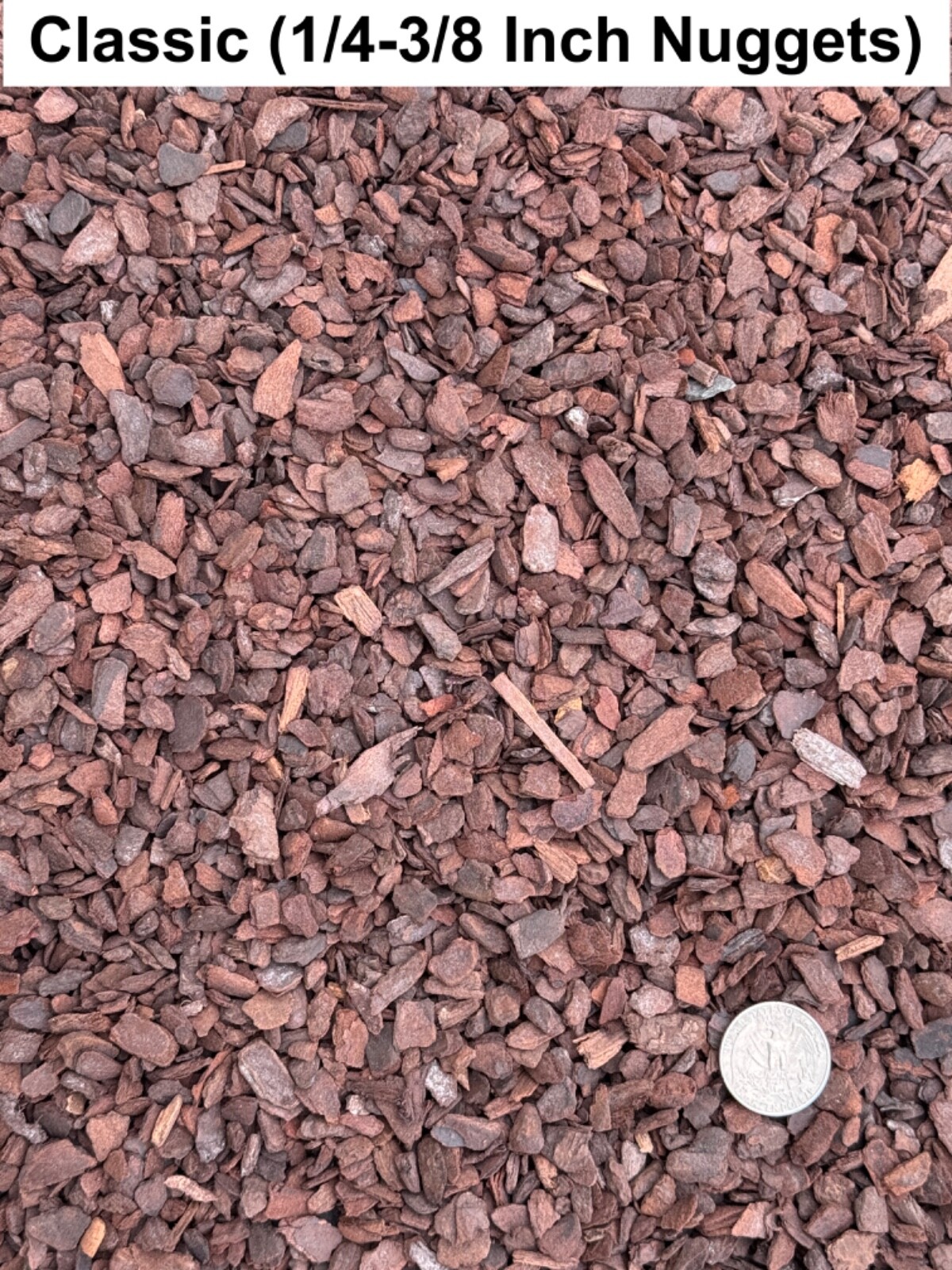 Dalton's of New Zealand Orchiata Bark - Precision, Classic, Power & Power+