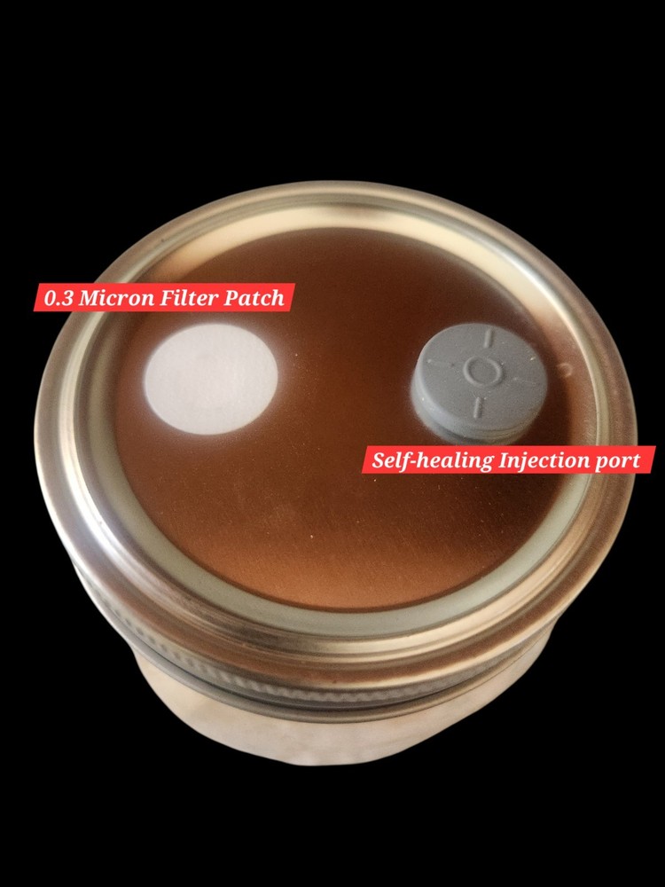 Mushroom Grain Spawn, Sterilzed 2 Quarts, Uninoculated