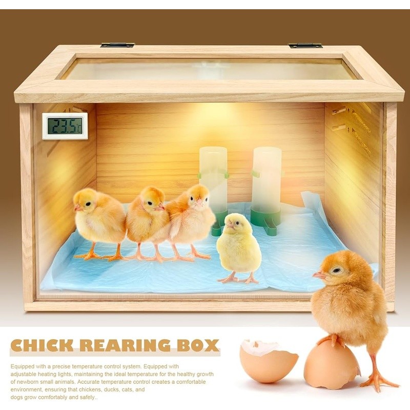 Chick Brooder Box Kit W/ Heating Lamp Feeder Thermometer Small Animals New