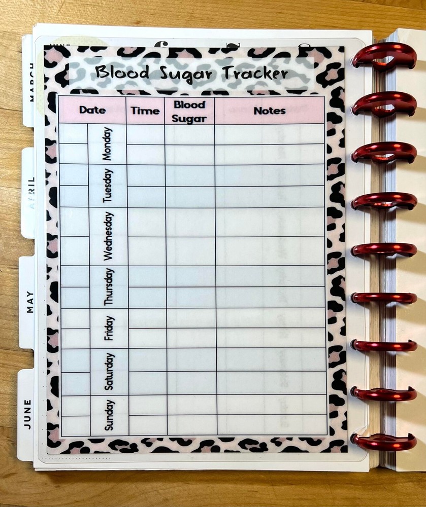 Blood Sugar Tracker Dashboard Insert for use with Classic HAPPY Planner