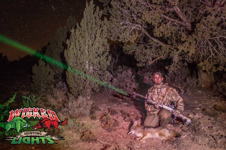 Wicked Lights Intensity Control Replacement Green LED Intensity Control Models