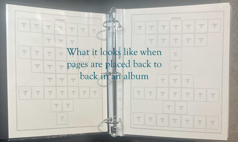 Territories Precancel Washington Bicentennial 2 Pages in Sheet Protectors