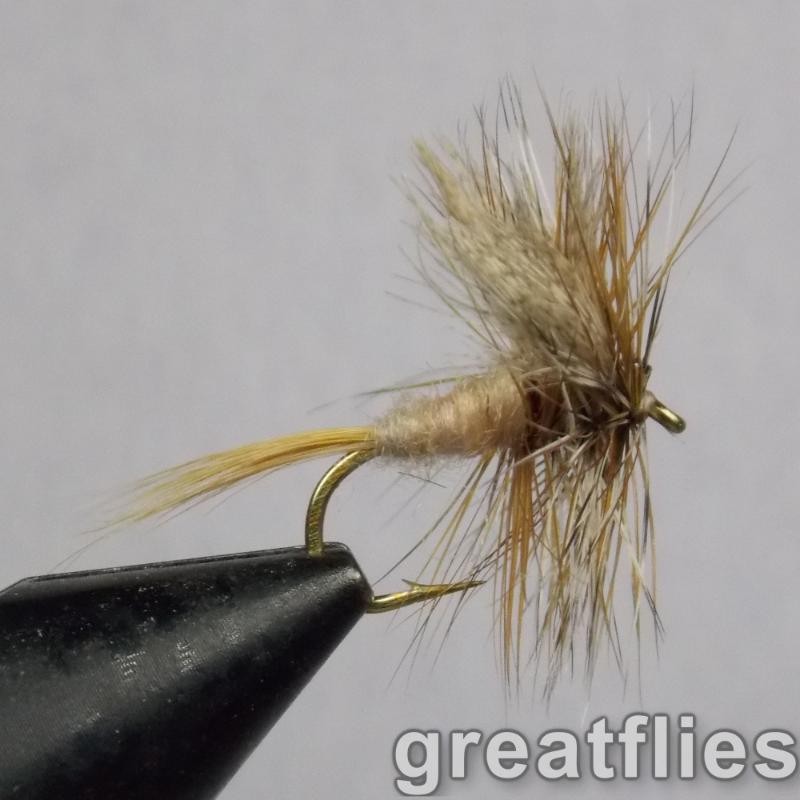 1 dozen (12) - Gray Fox