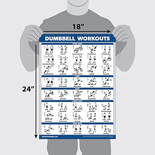 Palace Learning QuickFit 3 Pack - Dumbbell Workouts + 18" x 24", LAMINATED