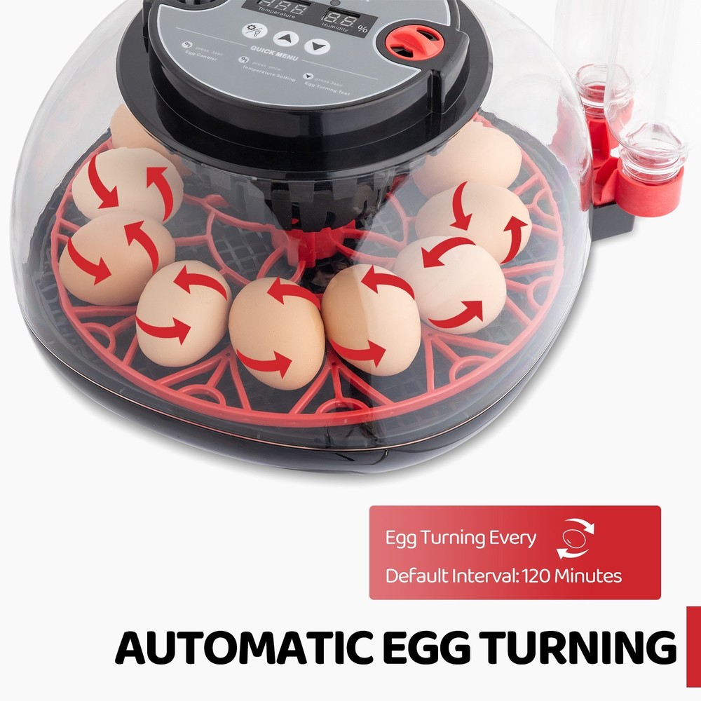 12 Egg Incubator with Automatic Turning, Humidity Control, LED Egg CandlerAC