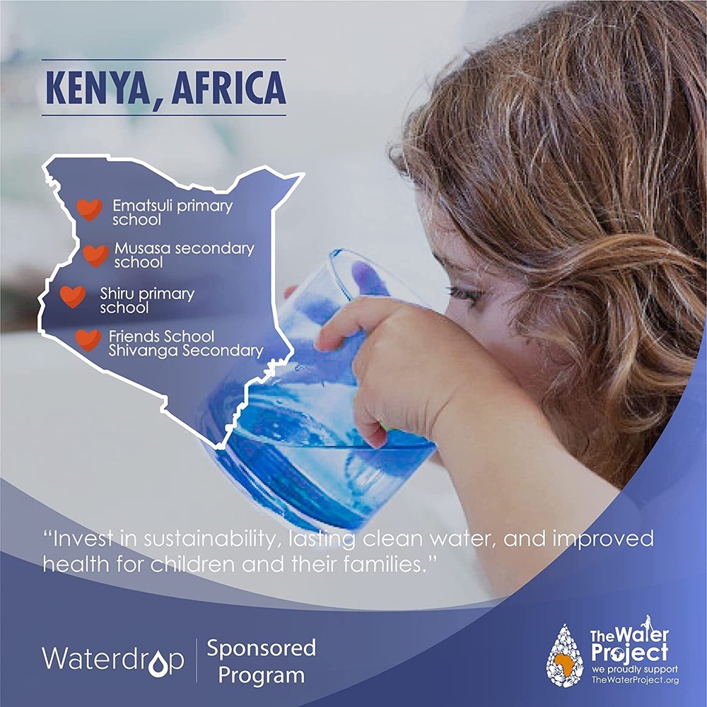 Waterdrop Remineralization Inline Water Filter, 1/4” Quick Connect Post Filter