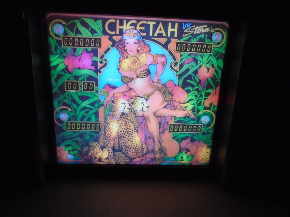 Stern Cheetah Pinball Head LED Display light box