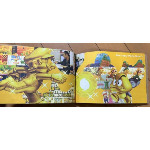 Nintendo Recruitment 2013 Company Information Document