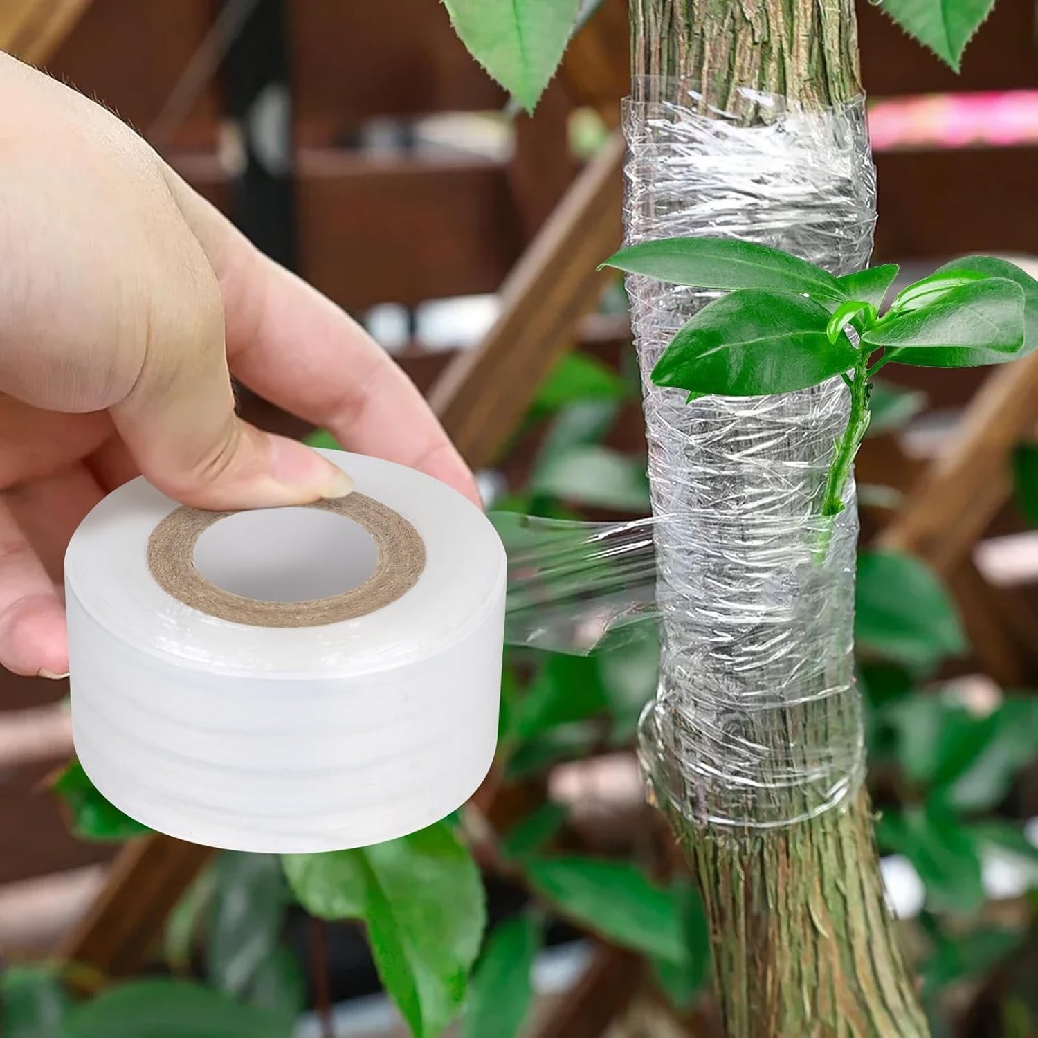 3 Rolls Grafting Tape Stretchable Garden Plants Repair Tape for Fruits Tree