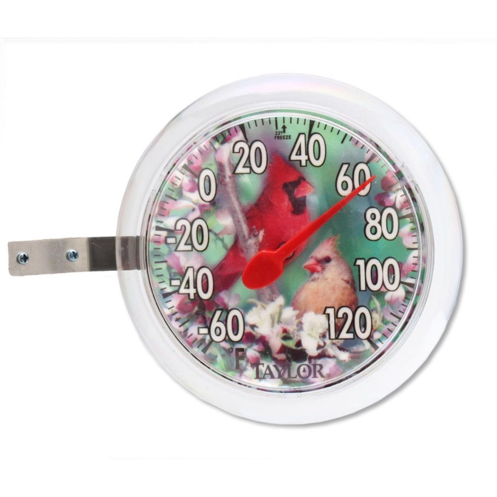 Taylor Dial Thermometer Plastic Assorted 6 in.
