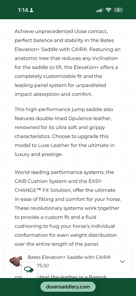 Bates elevation jumping saddle