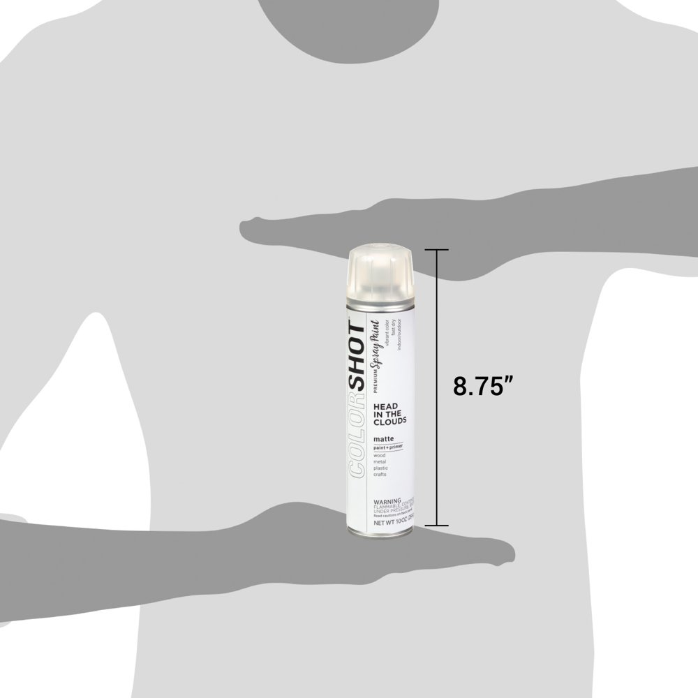 Multi-Surface Matte Head in the Clouds Spray Paint UV-Resistant 10 Oz White