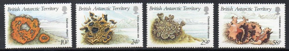 BAT MNH 1989 Lichens