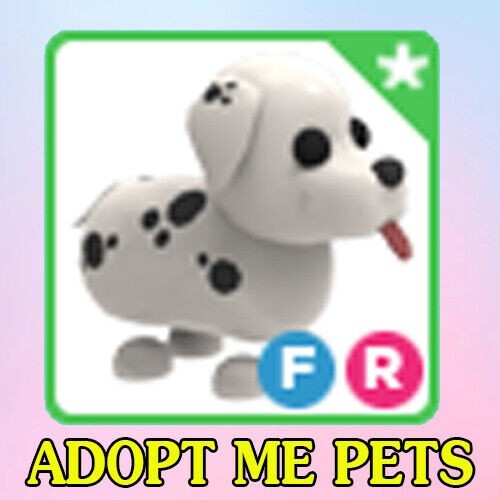 FR Dalmatian |Fast Delivery