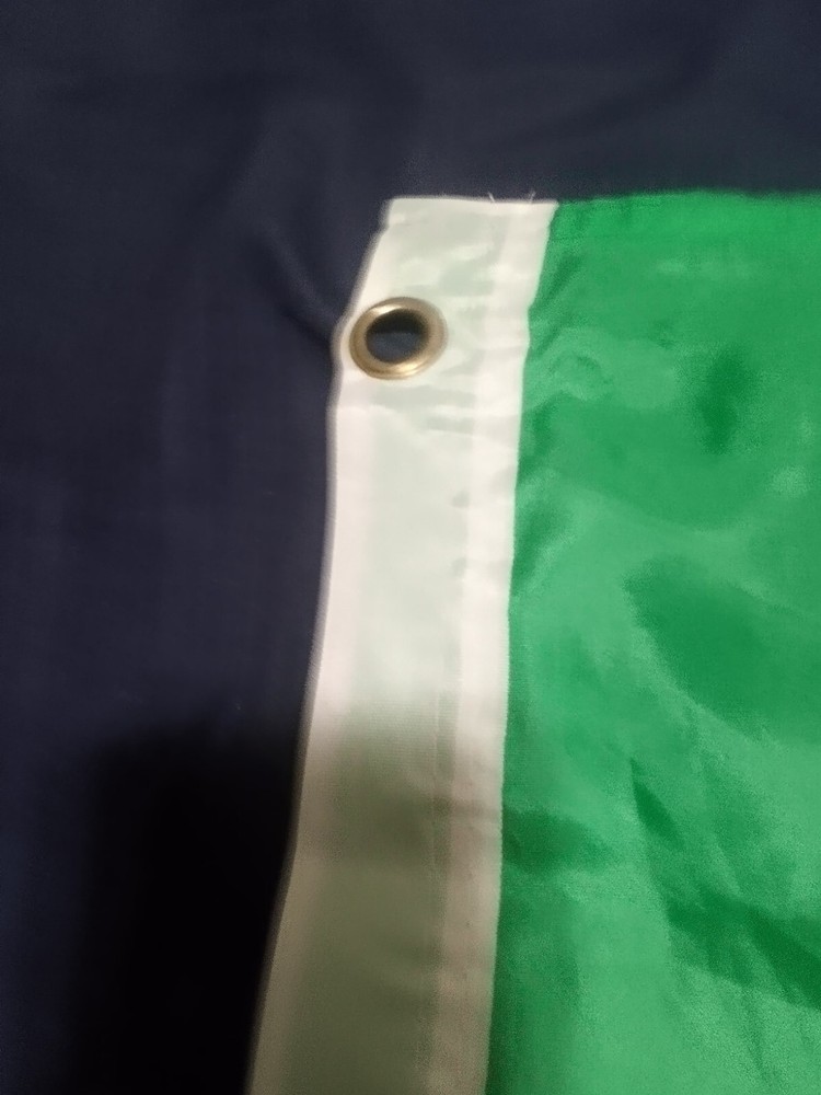 Washington State Flag