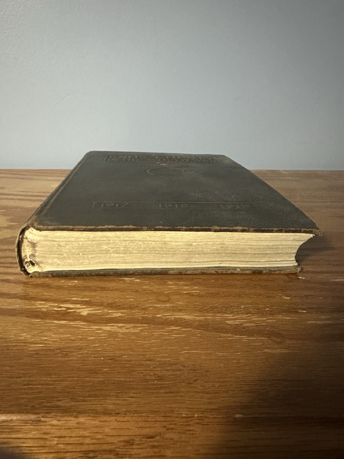 Antique 1919 Knox County In The World War WWI Era (Tennessee) (Shelf 1A1) Book