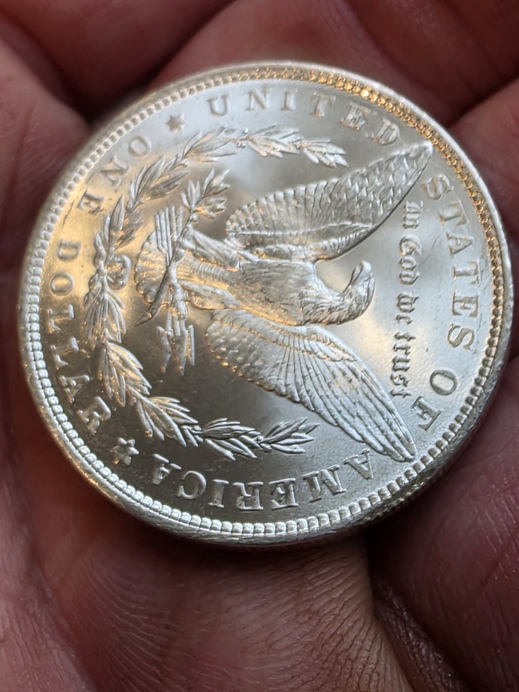 1887 & 1889 $1 Morgan Silver Dollar Blast White