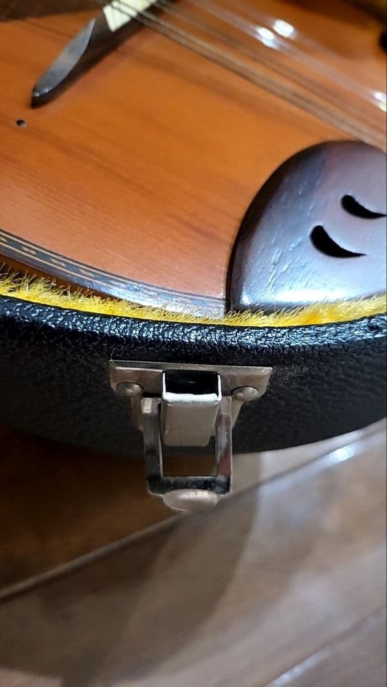 Suzuki Mandolin Violin Junk with some damage Case