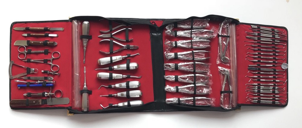 DENTAL SURGICAL ORAL EXTRACTION SURGERY FORCEPS ELEVATORS INSTRUMENTS KIT 61 PCS