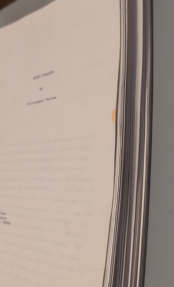 Broad Strokes Script By Christopher Pelham 312 Pages (Listing #260)