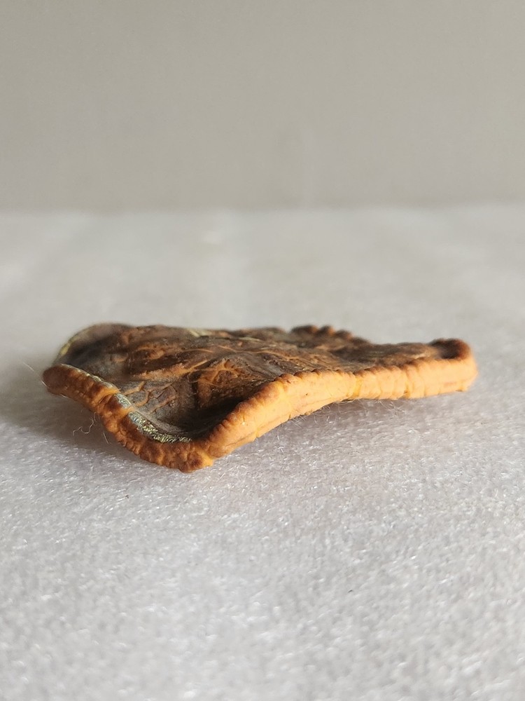 Artificial Rubber Turtle Shell Life-like • 3"×2⅞"