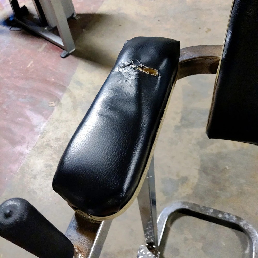 Vertical Knee Raise and Dip Station