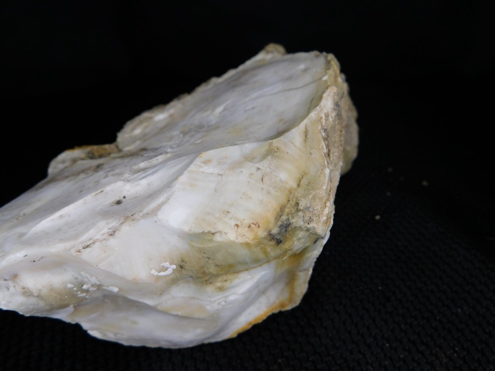 Opal Limb Cast 3lb 4oz Central WA Vintage