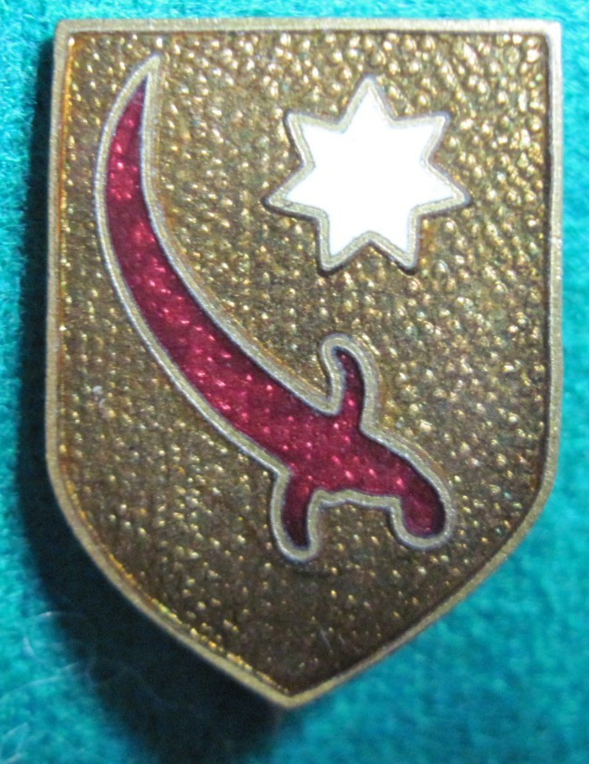 Army crest DI DUI PB pinback ww2  PERSIAN GULF COMMAND  cmd Patch-type NHM