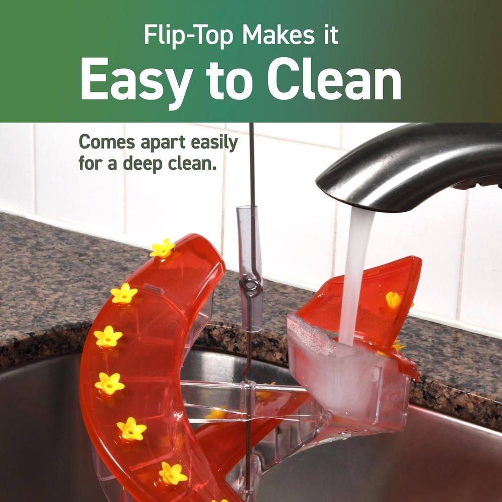CASCADE DNA HUMMINGBIRD FEEDER