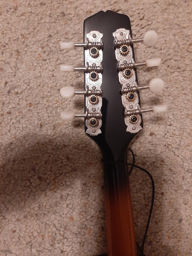 mandolins musical instrument used
