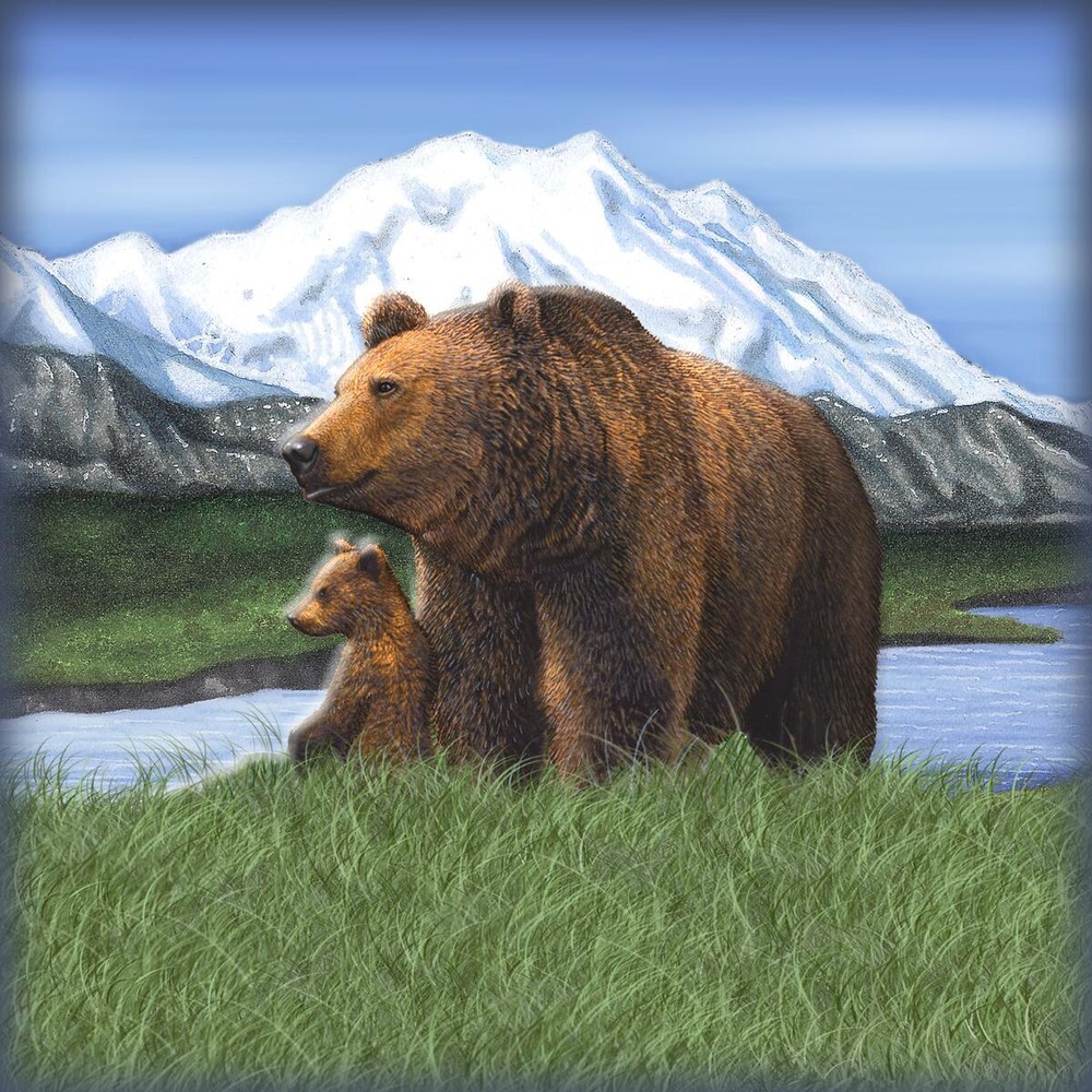Ceramic Backsplash Tile Mural Bear Kitchen/Bathroom - Bears - Dan Morris