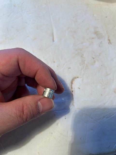 Ducks Unlimited Duck/Dove Band 2002