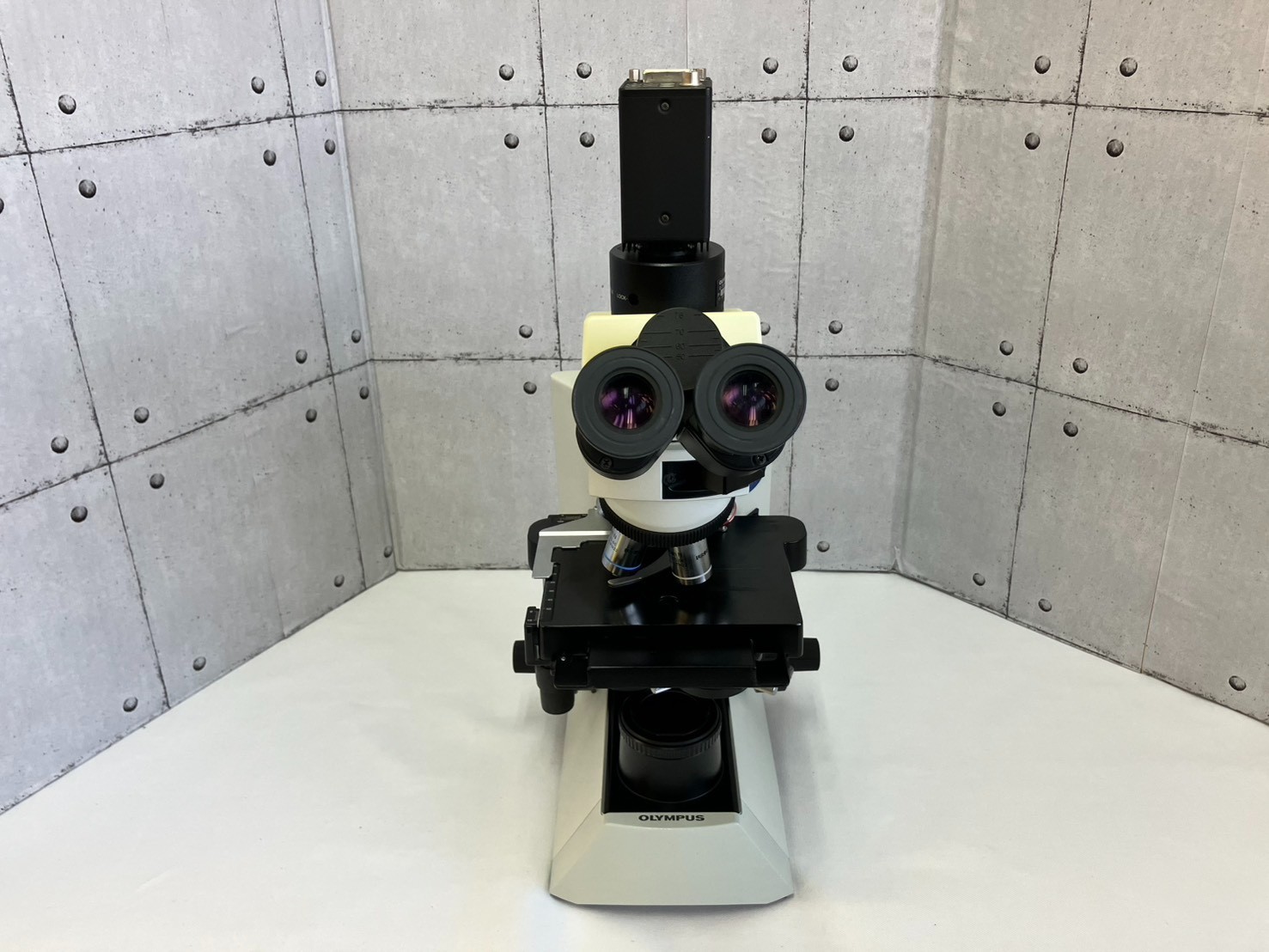 Olympus CX41LF Microscope