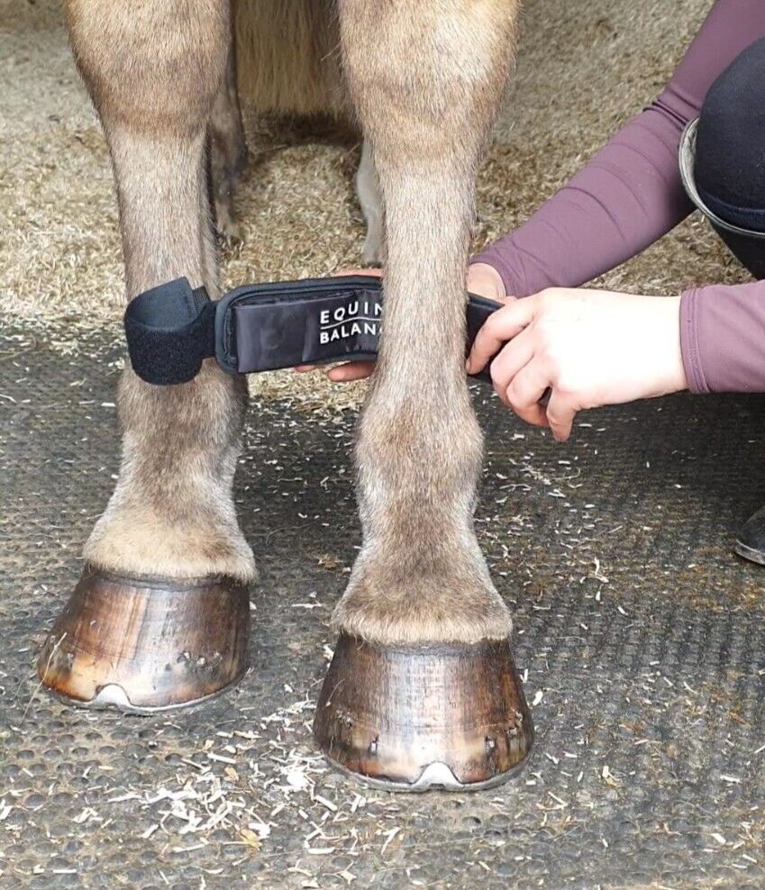 Magnetic Therapy Pastern Wraps Leg Bands for Horses and Ponies