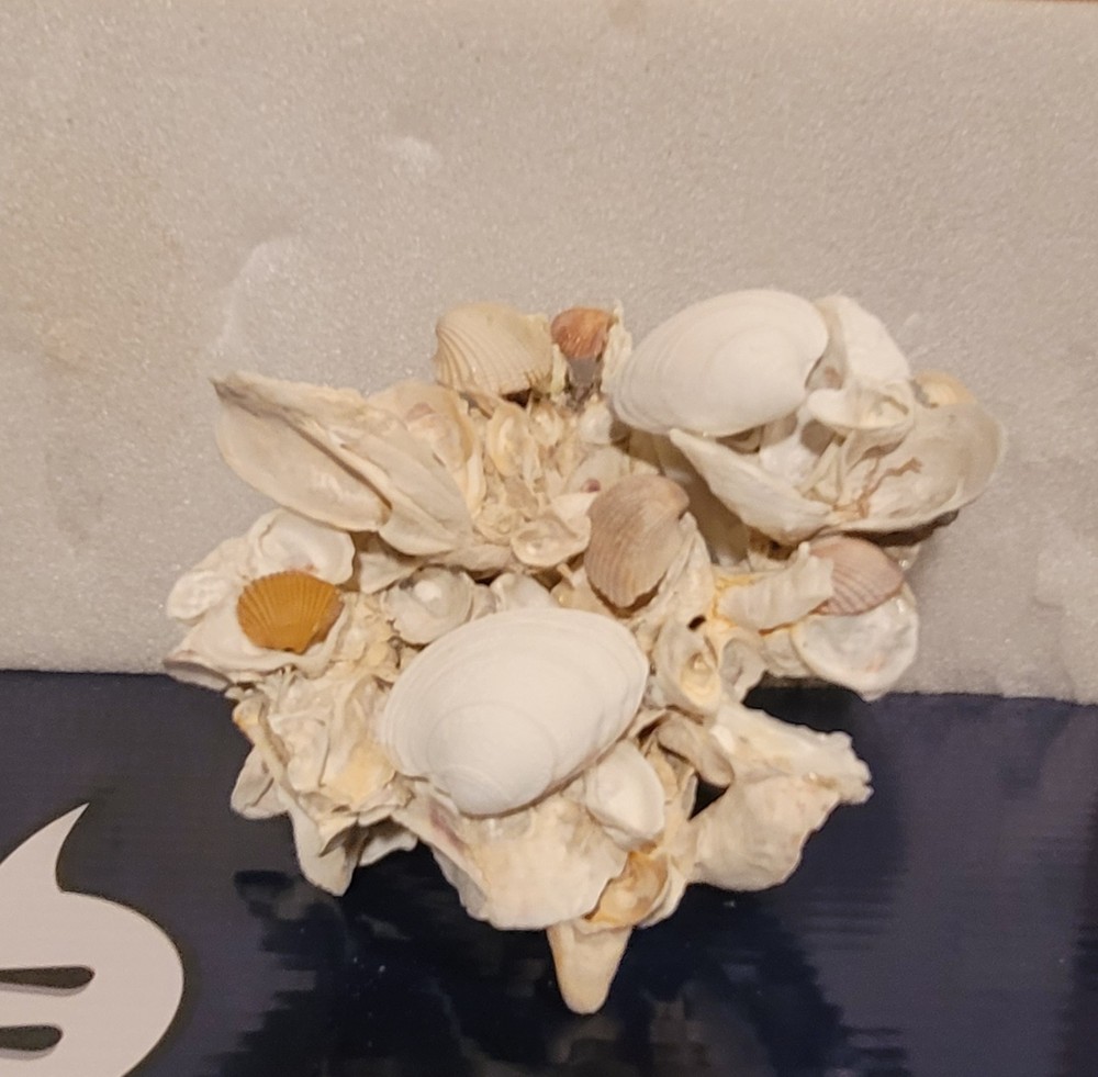 Oyster Shell Sculpture