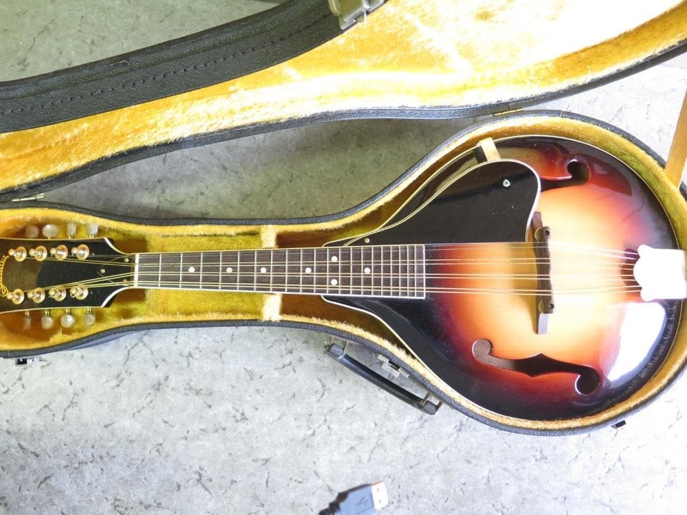 Jumbo Mandolin JM-50