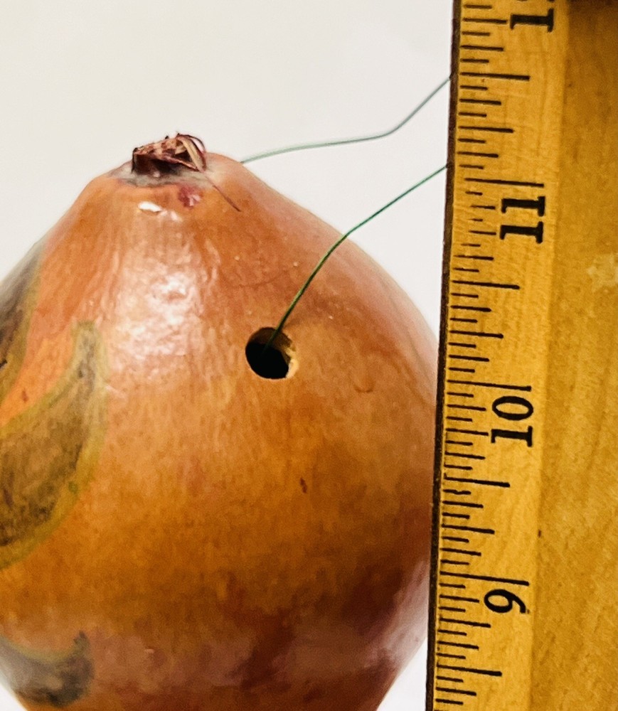 Painted Gourd