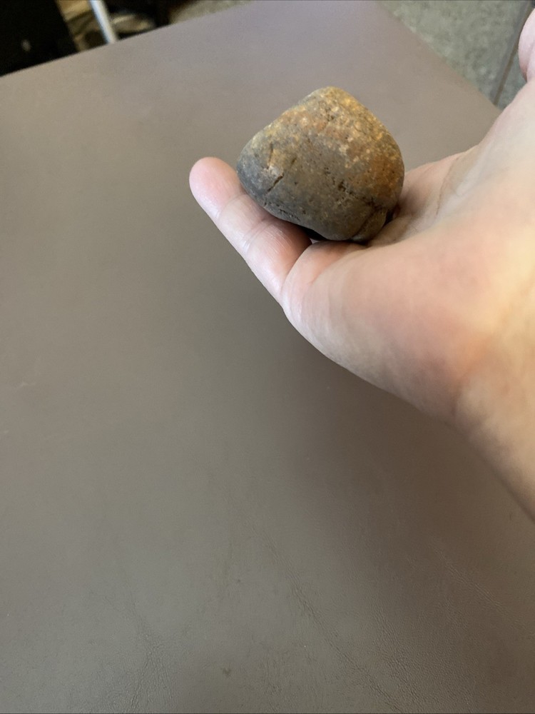 Petrified Wood