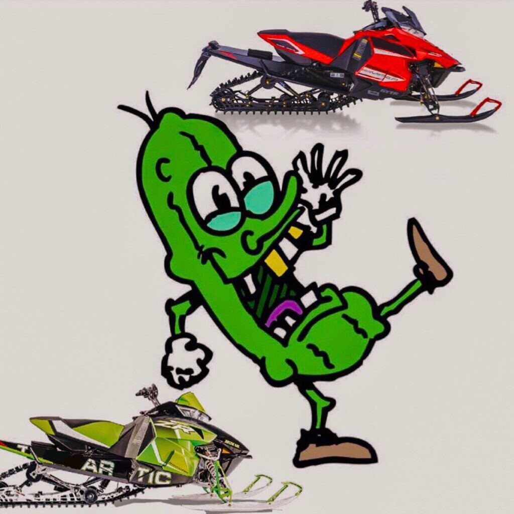 Arctic Cat & Yamaha Snowmobile Billet Chain case guard pickle protector