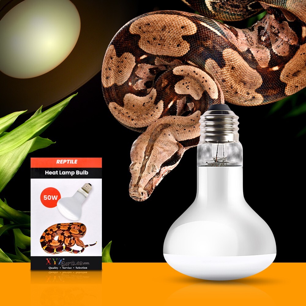 UVA Reptile Heat Lamp 50 Watt Bulb Basking Light XYZReptiles