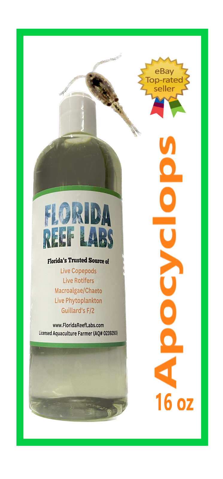 LIVE Copepods Apocyclops (aka Apex/Apocalypse) - 16oz - Florida Reef Labs®