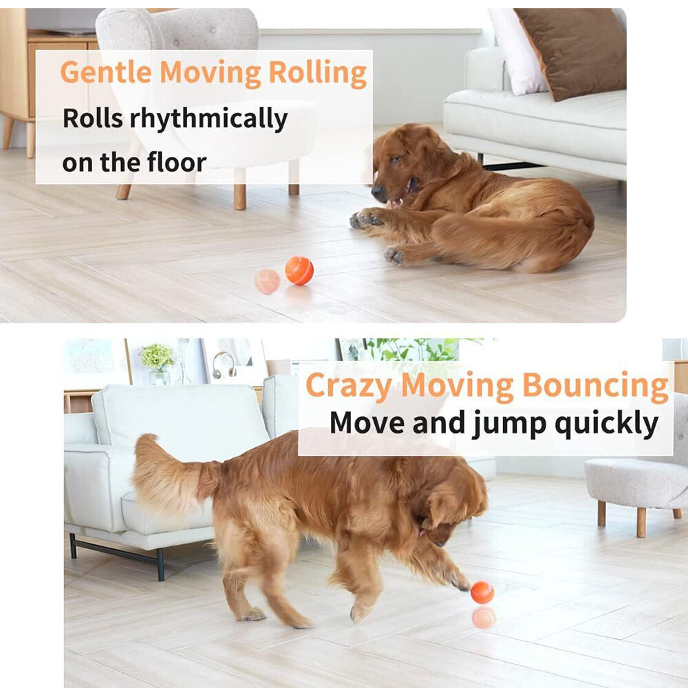 Peppy Pet Ball for Dogs with Remote Control Interactive Dog Ball Toy LED Flash