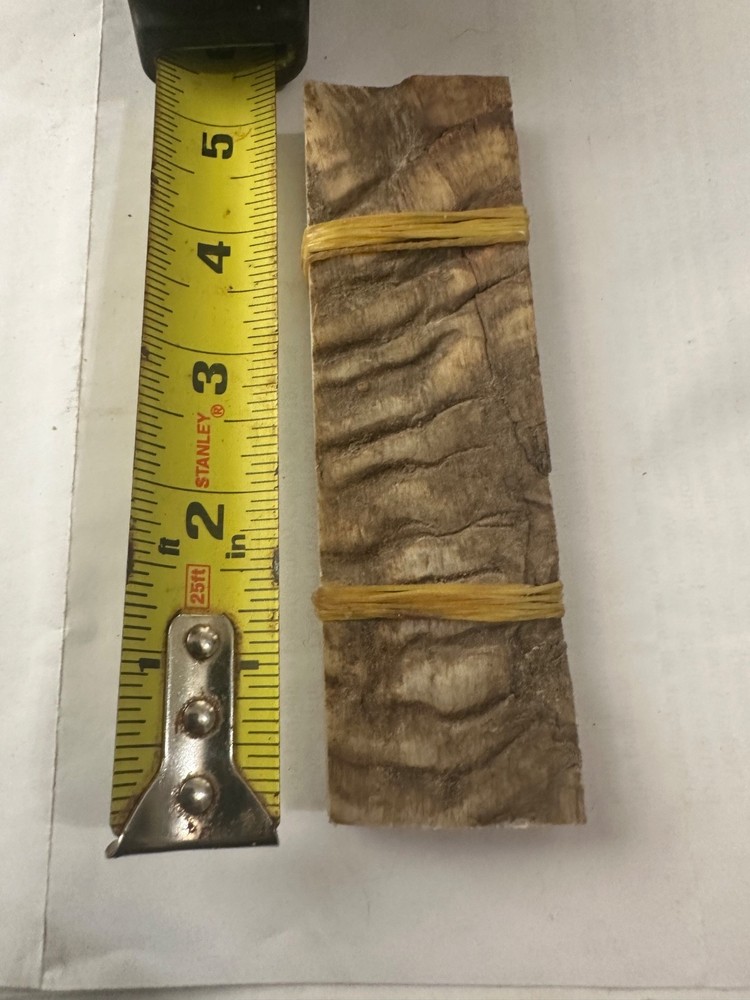 sheep horn knife handle blanks