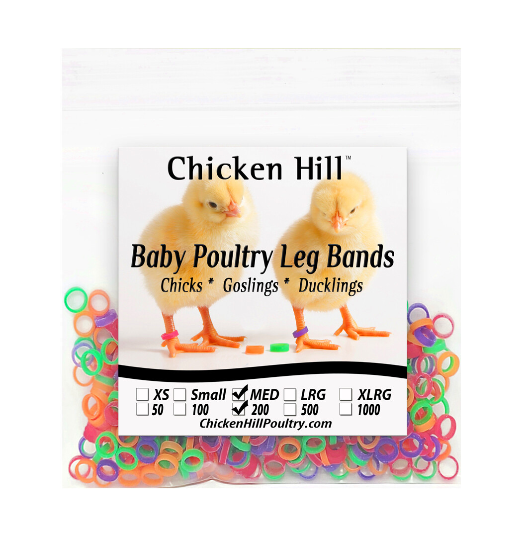 Chick Leg Bands ~4 colors 1/4"  Size 4 Poultry Chickens Ducks Geese Game Birds