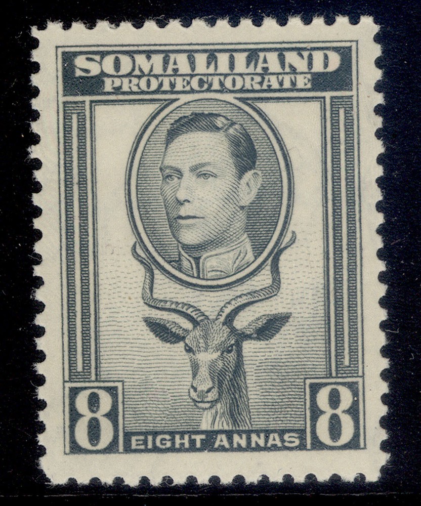 SOMALILAND PROTECTORATE GVI SG99, 8a grey, LH MINT.