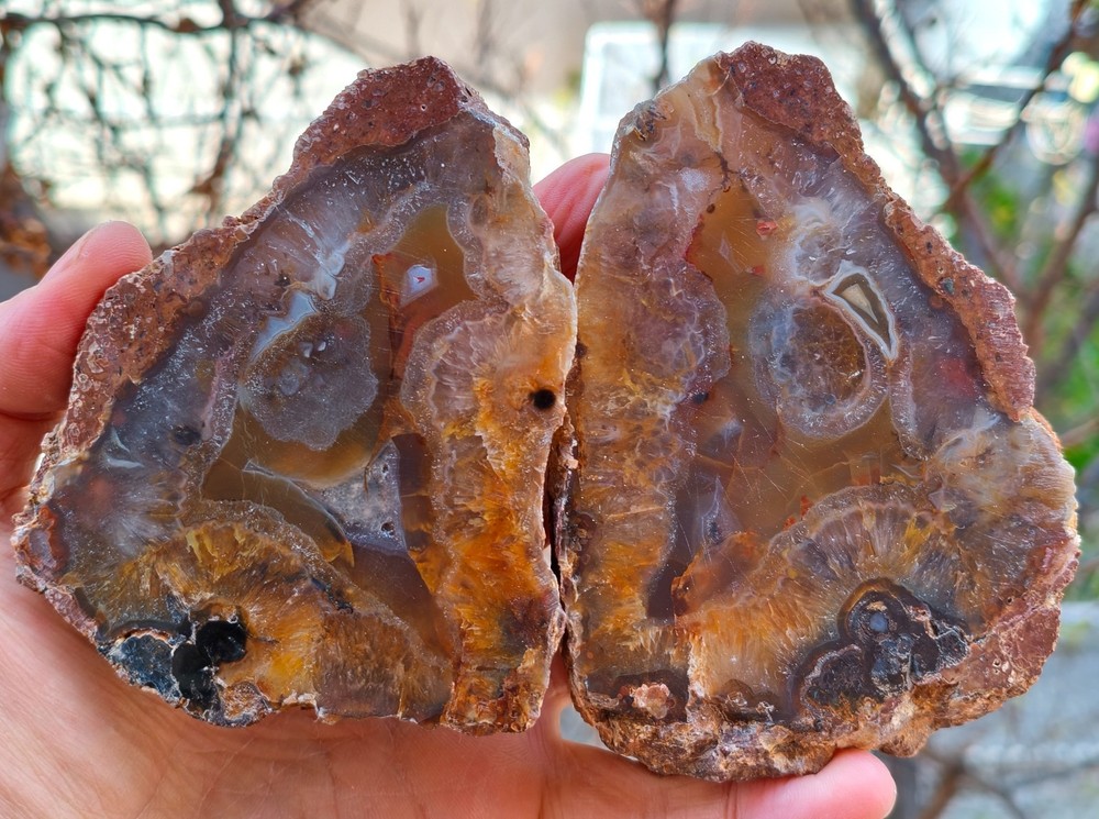 Mirror Polished Orange Lace Agate Uv Reactive