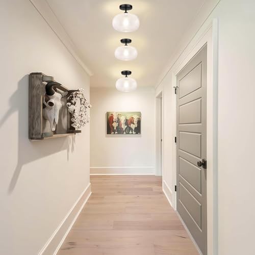 Semi Flush Mount Ceiling Light,Globe Glass Ceiling Lights,Hallway Light Black